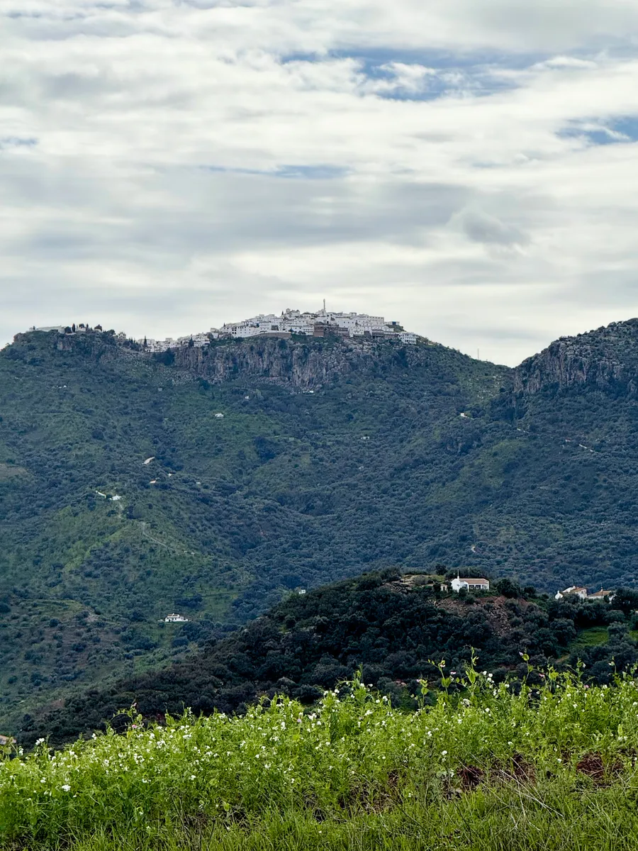 Comares
