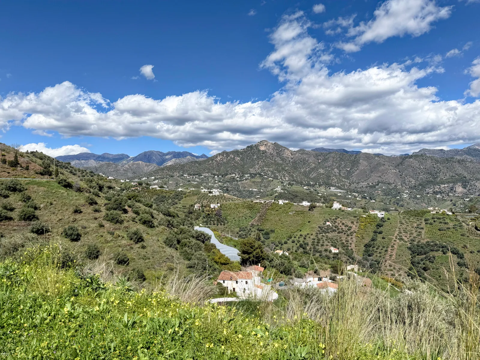 W drodze do Torrox
