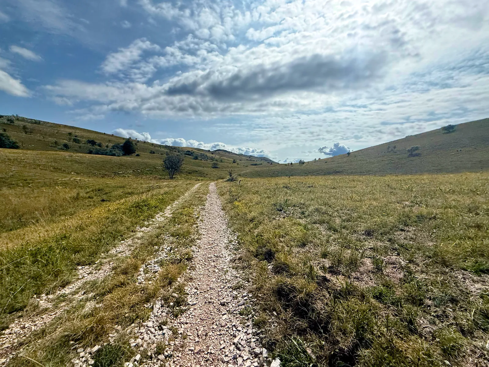 Pola w rezerwacie Kojnik