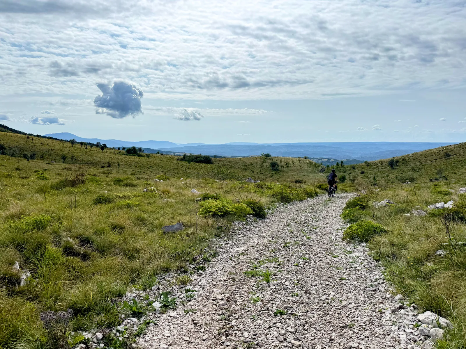 Pola w rezerwacie Kojnik