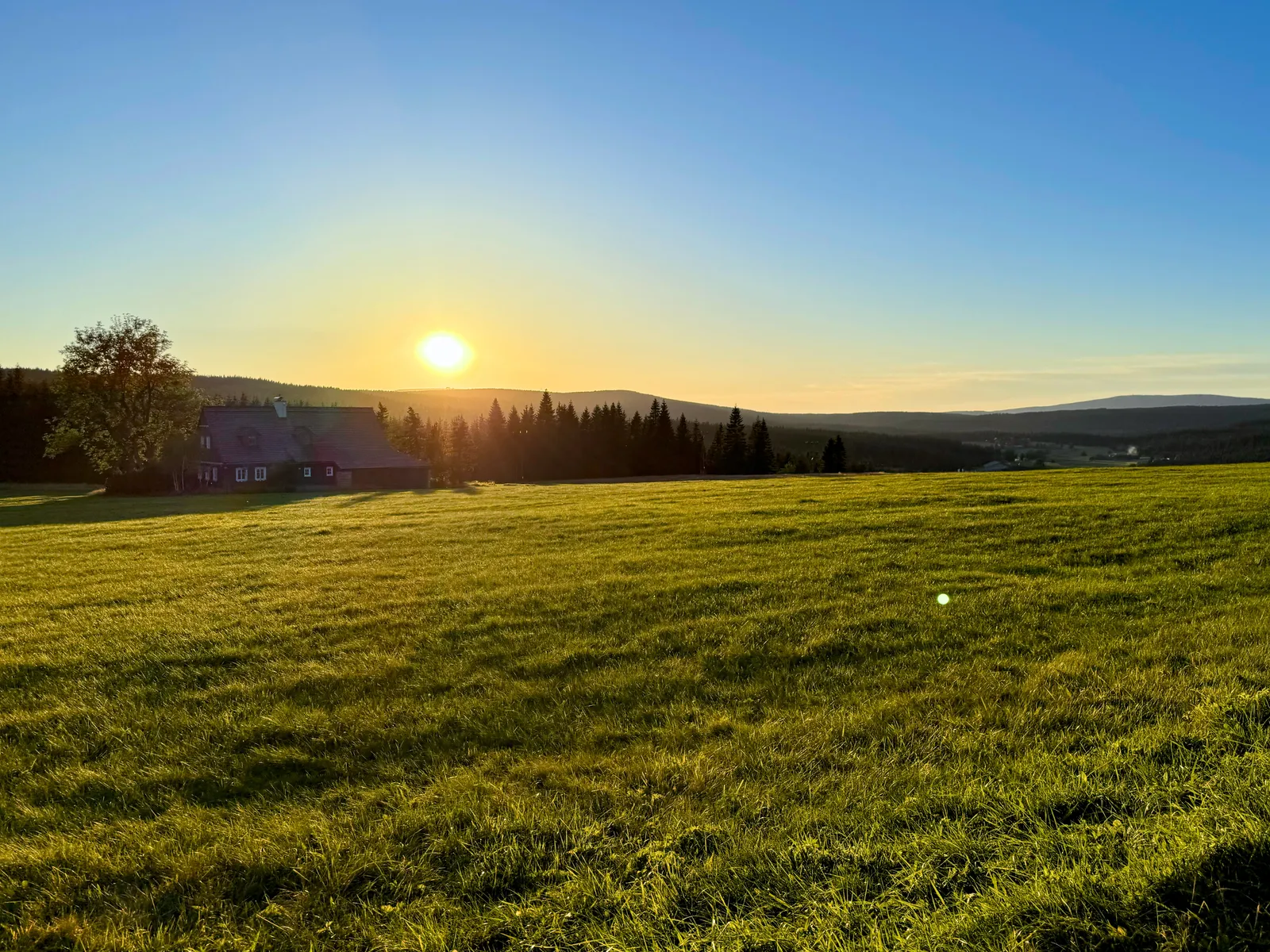 Pola o złotej godzinie