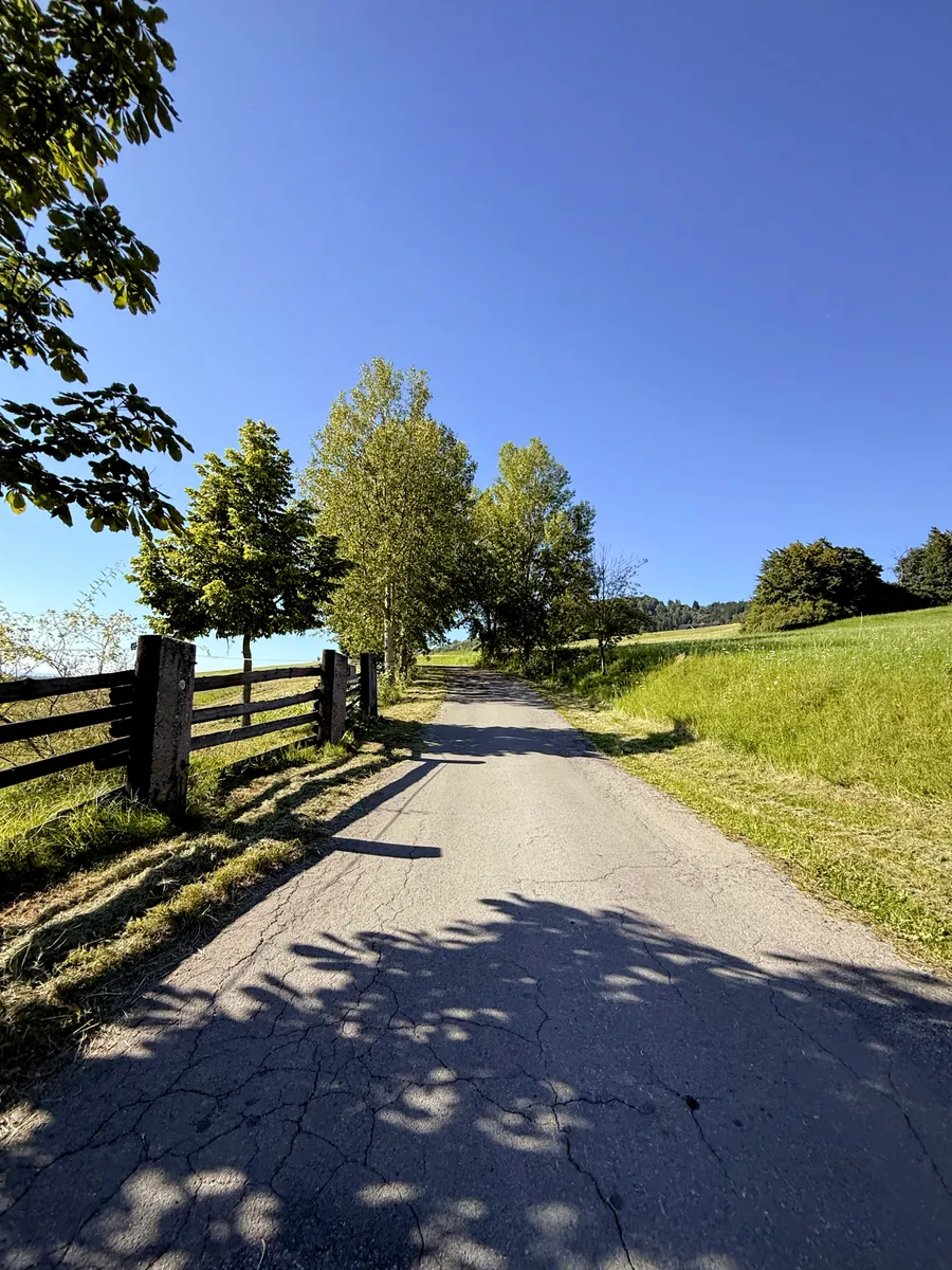 Wracając z Czeskiego Raju