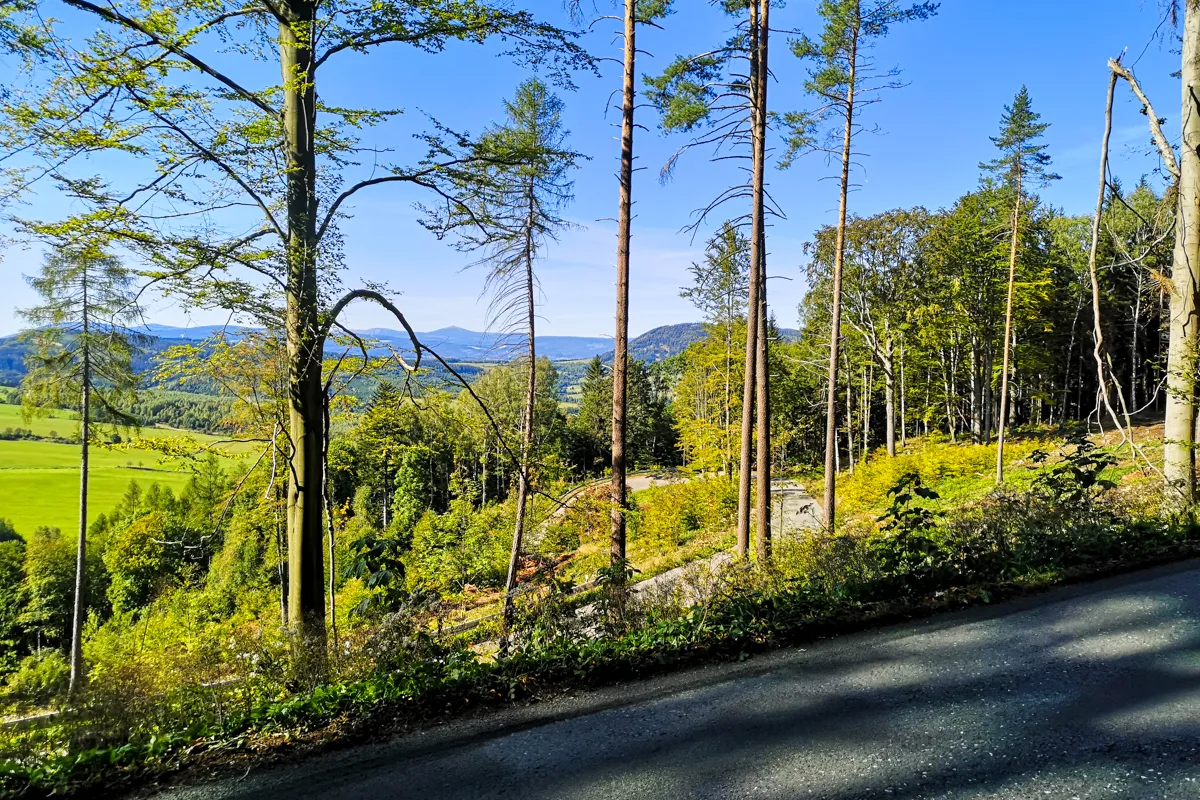 Chvalec uphill, Snezka on the horizon