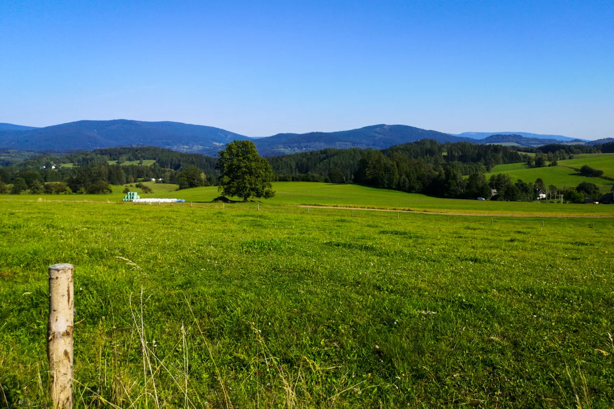 Meadow nearby Stare Mesto