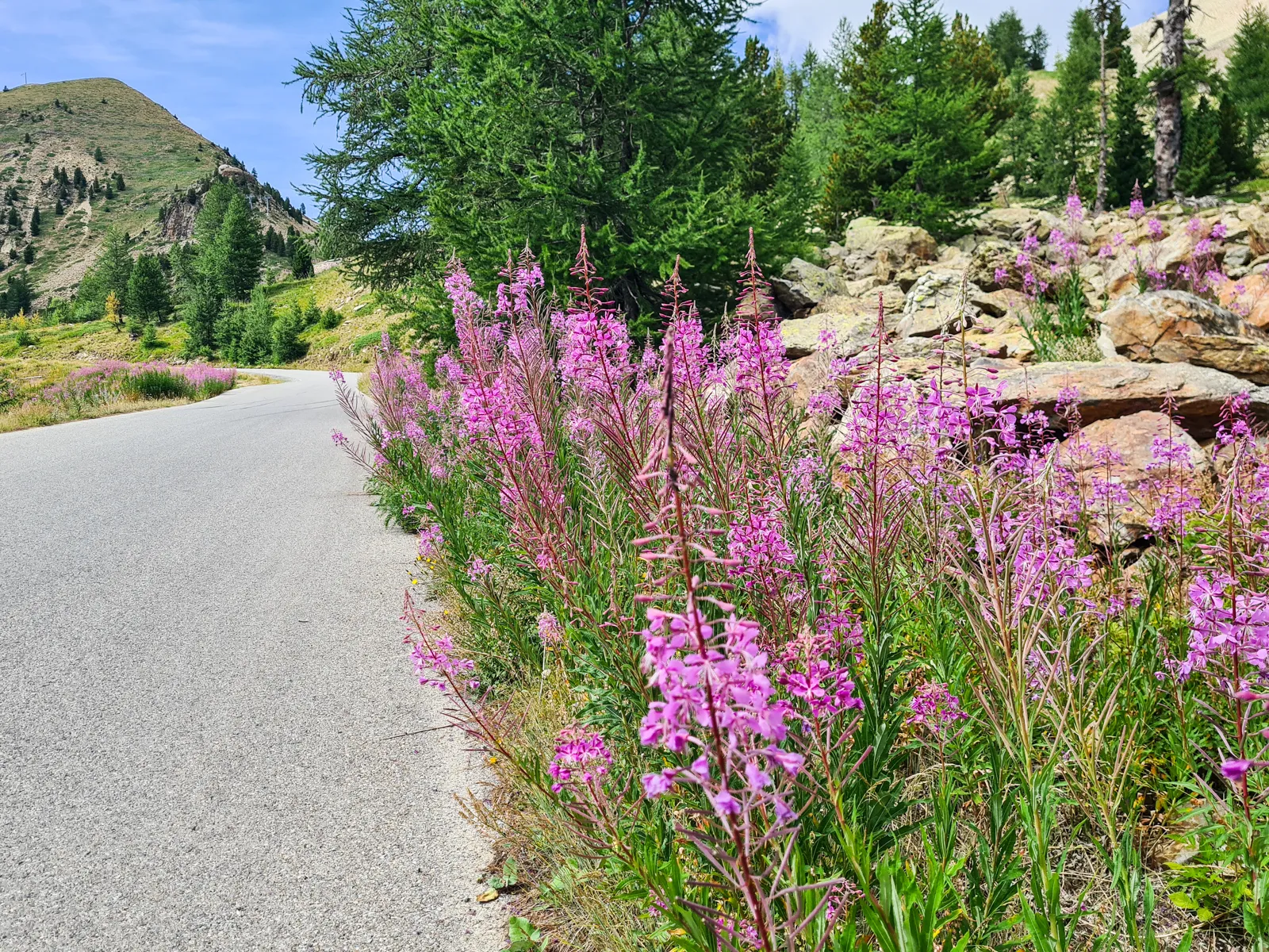 Podjeżdżając Col de la Lombarde